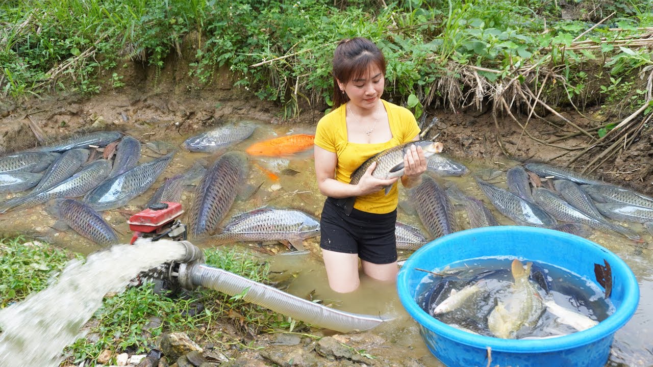 80 Days Nhat Harvesting Crab, Harvest Fish, Harvest Wild Vegetable Go To Market Sell