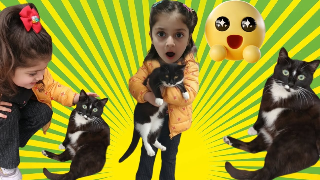 MARKETTE  KEDİ VAR🤗🥰😇