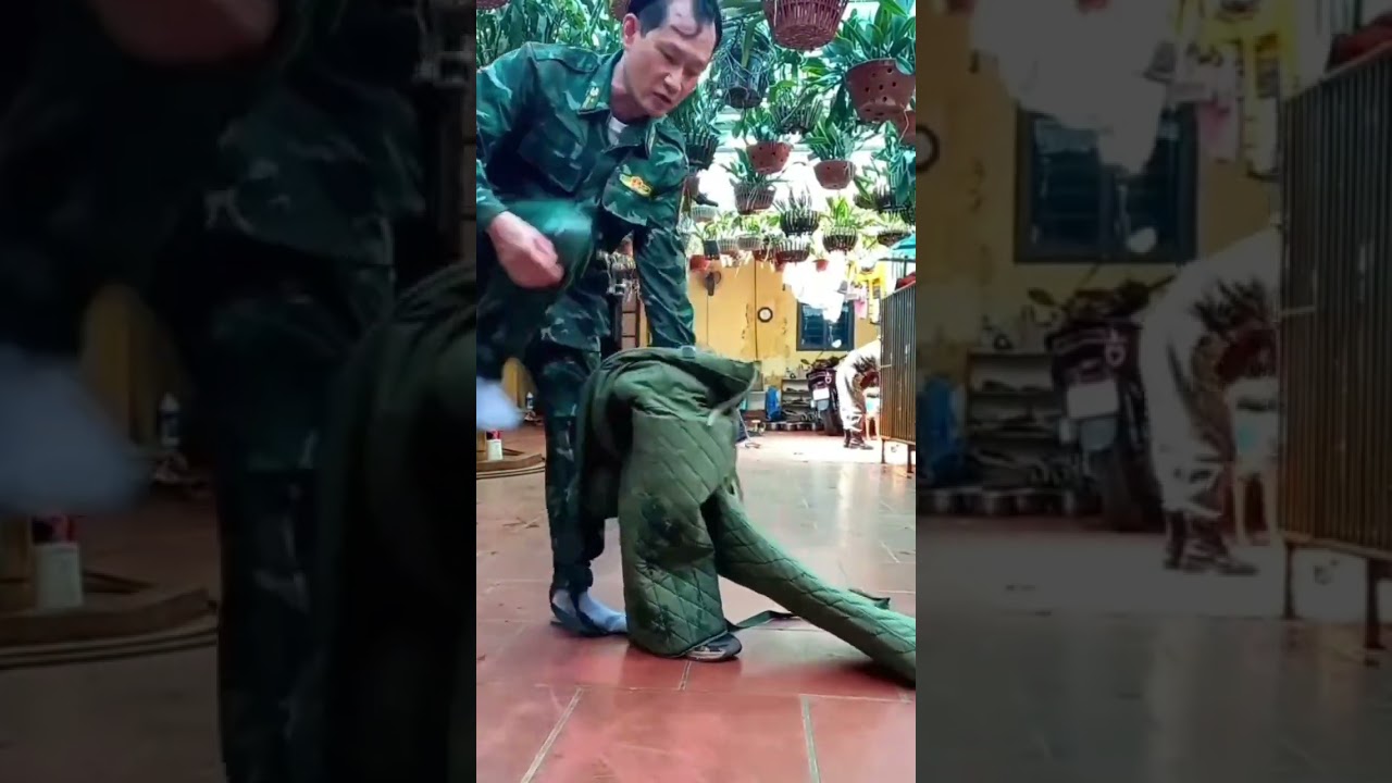 Nhận huấn luyện chó chất lượng cao. ĐT: 0358308277