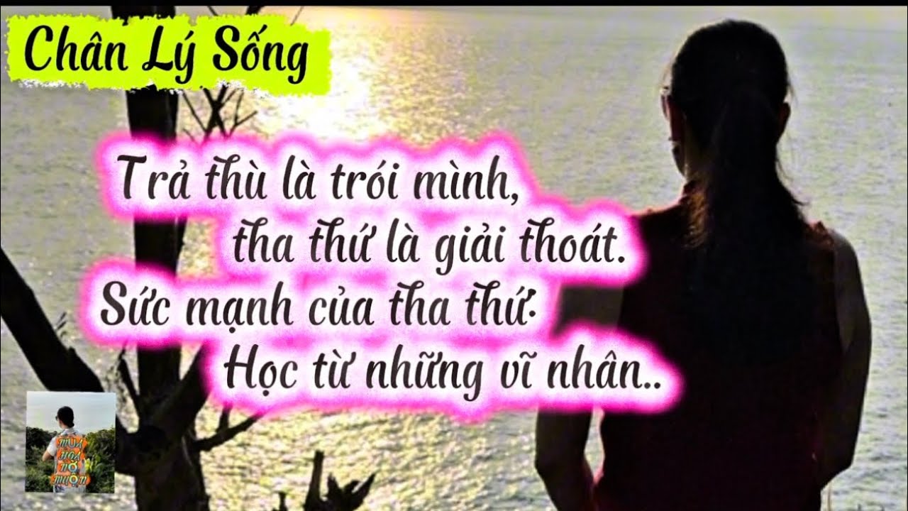 Trả thù là trói mình.. tha thứ là giải thoát#chanlysong