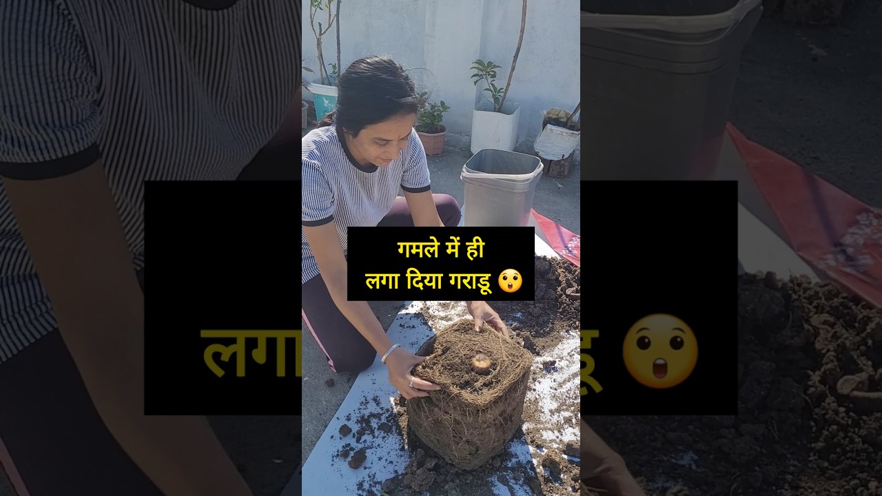 Garadu kaise lagaye 