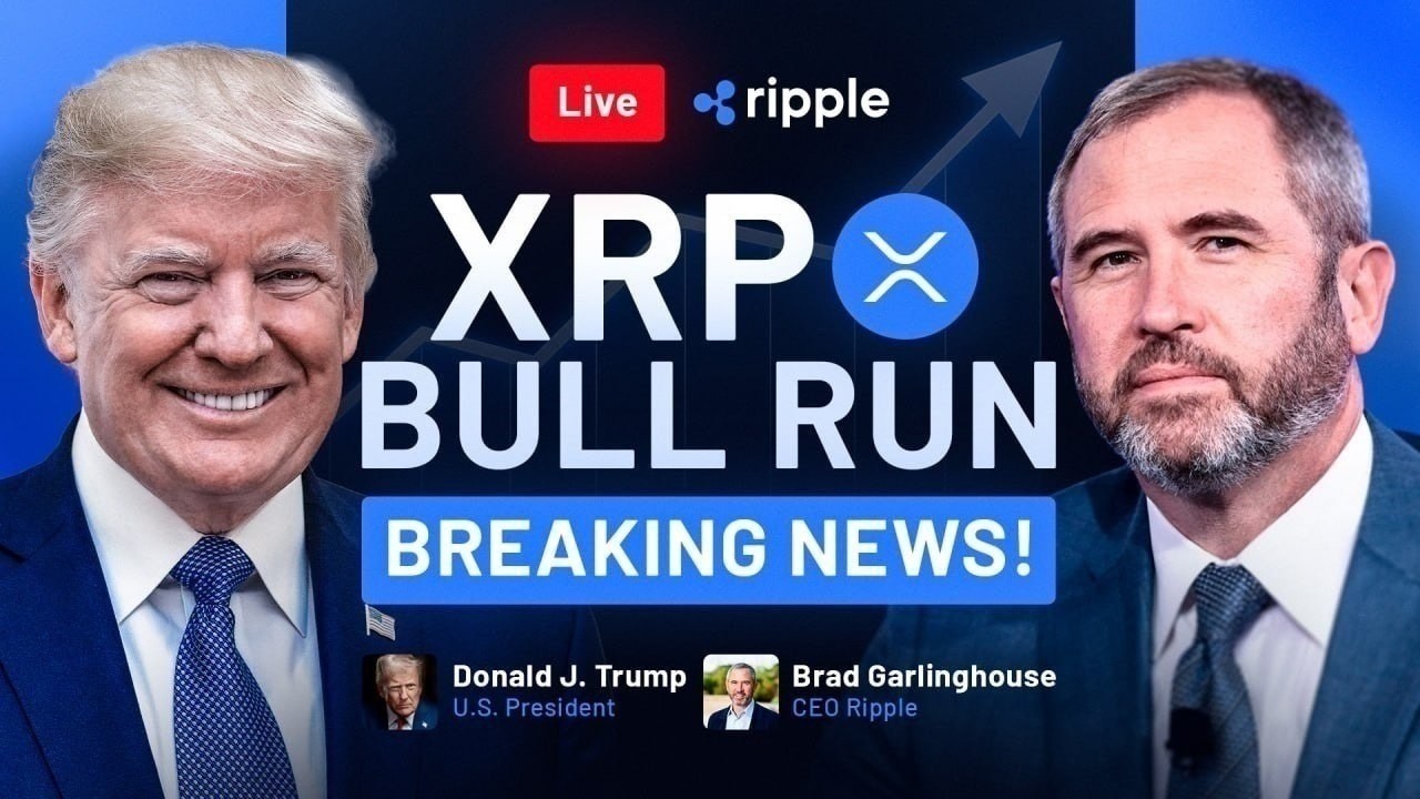LIVE: XRP BULL RUN CONFIRMED! Donald Trump & Brad Garlinghouse Discuss Ripple