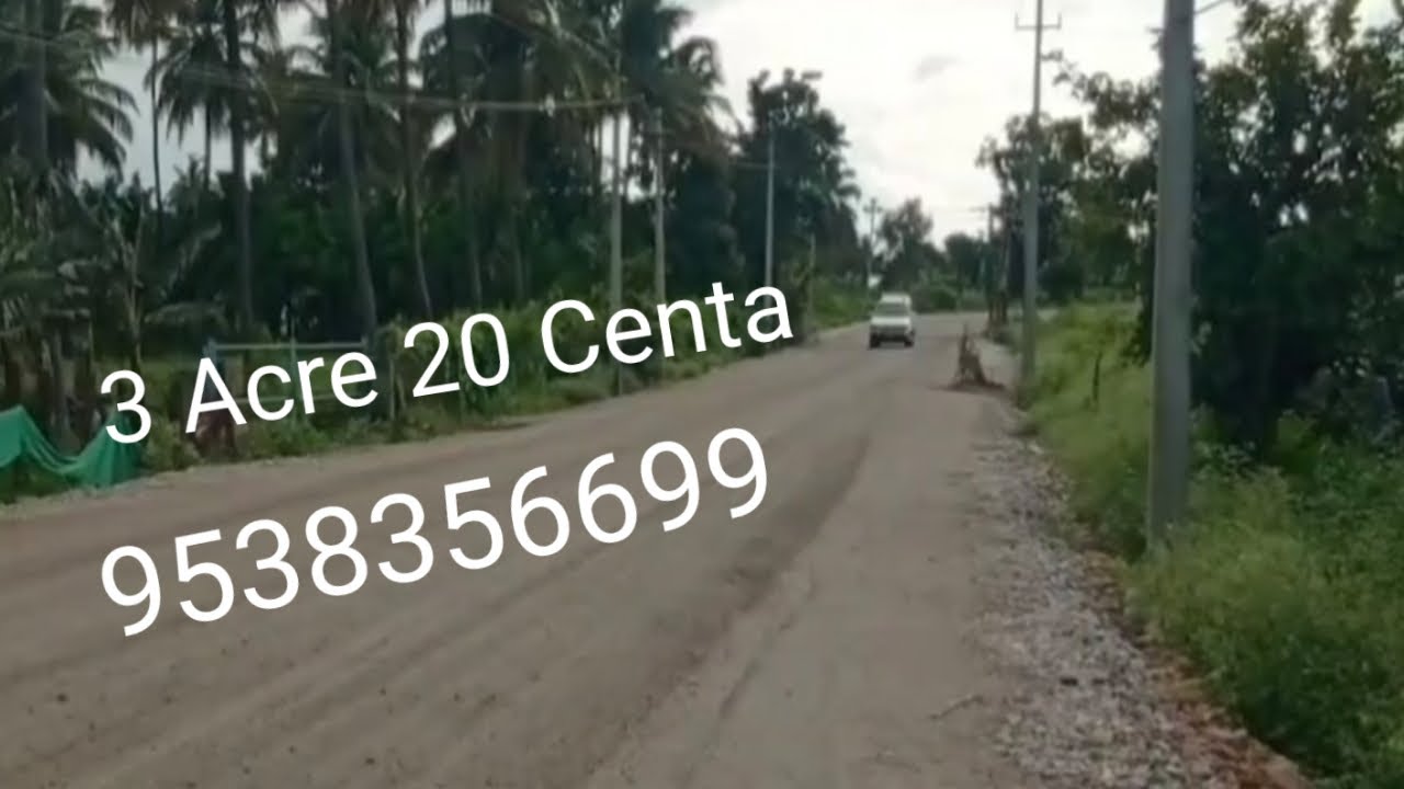 Zh) 3 ACRE 20 GUNTA | A BLEND OF CONTEMPORARY AND VINTAGE AESTHETICS IN NATURE | RED SOIL@9538356699
