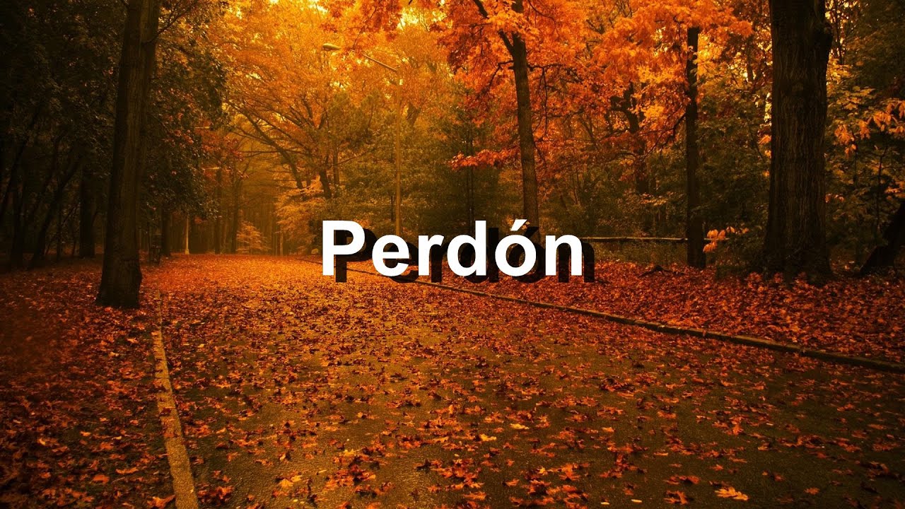 Perd&oacute;n - Camila Feat. Ricky Martin - Letra HD