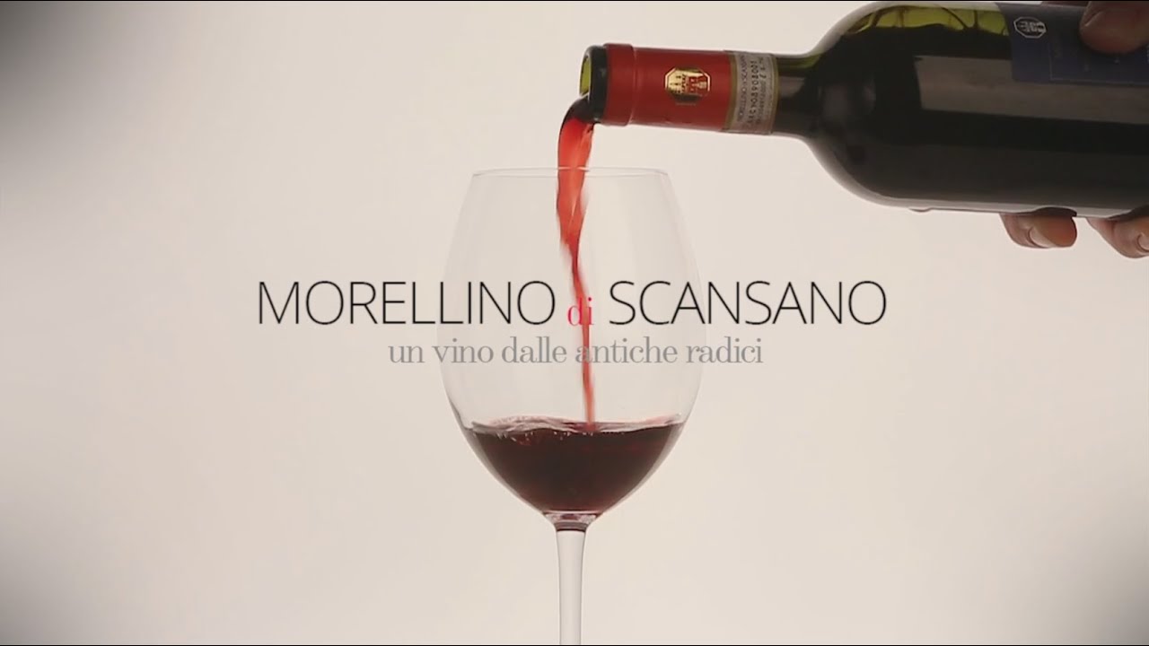 Morellino di Scansano, Un vino dalle antiche radici
