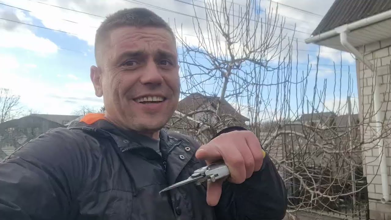 Обрізка ГРУШІ і боротьба з вертикальними гілками на неї