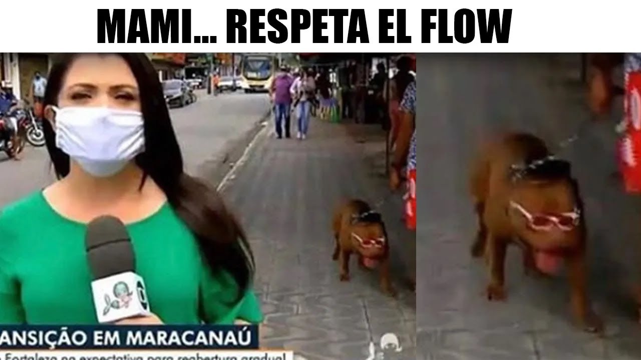 MEMES QUE NO DEBERIAS VER 2 - SrRed