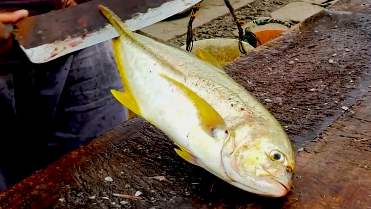 YELLOW SPOTTED TREVALLY CUTTING | FISH CUTTING SKILLS