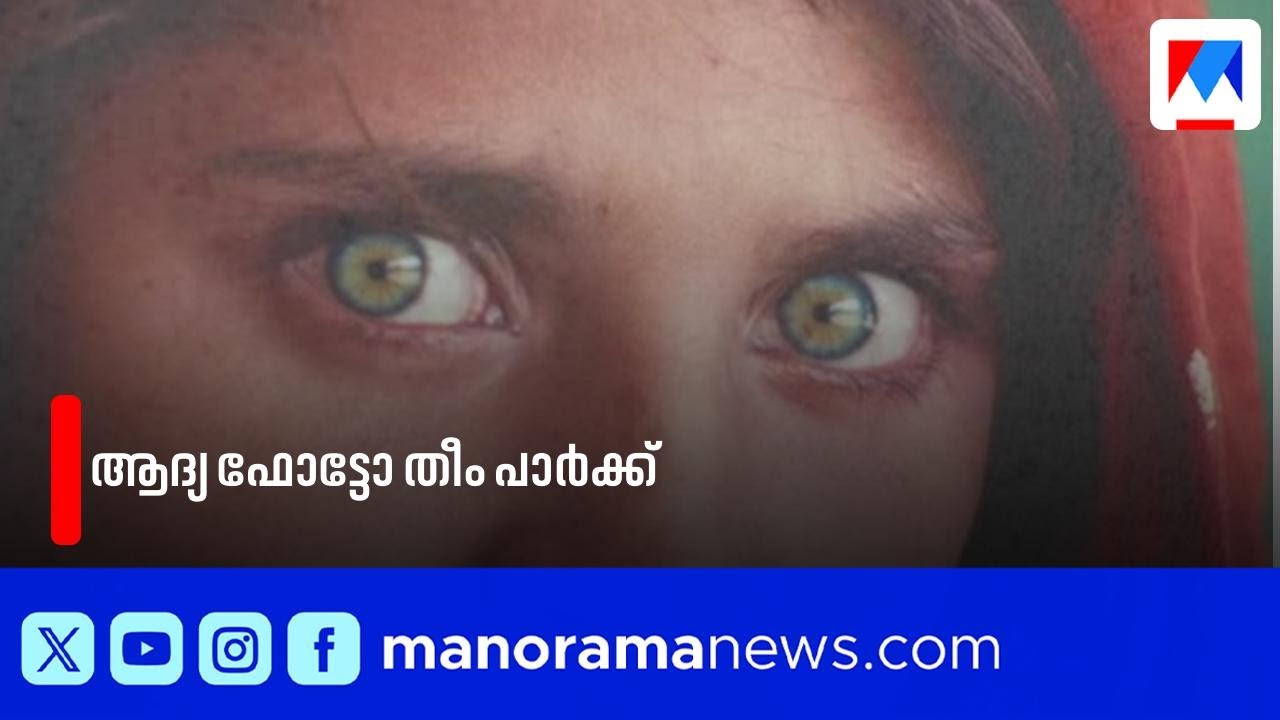 സംസ്ഥാനത്തെ ആദ്യ ഫോട്ടോ തീം പാർക്ക് വയനാട്ടിൽ; വിസ്മയമായി കോമാച്ചി പാർക്ക് | Wayanad | Photography