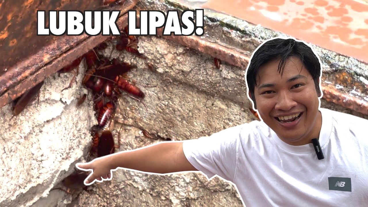 Ini Lubuk Lipas Rumah Korang
