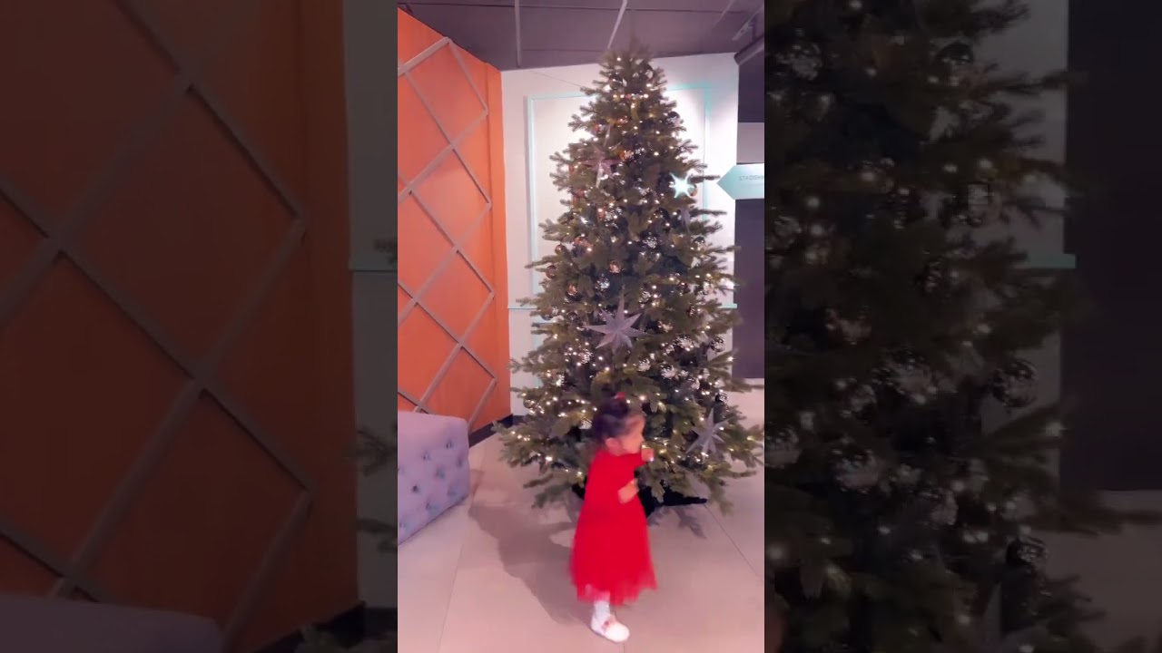 Merry Christmas everybody #europetravel #netherlandvlog #instaindia #trulypriyanka