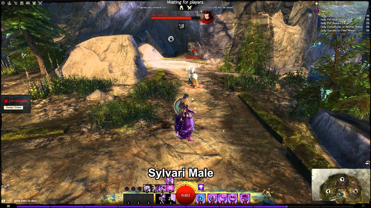 GW2 Chronomancer skill animations on all races/gender