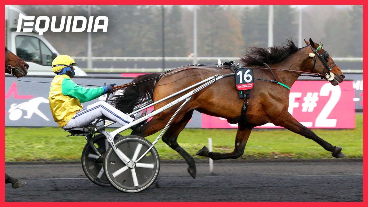 FACE TIME BOURBON À L'HEURE ! | #PDARQ2 Prix du Bourbonnais 2020 | Vincennes | Groupe 2