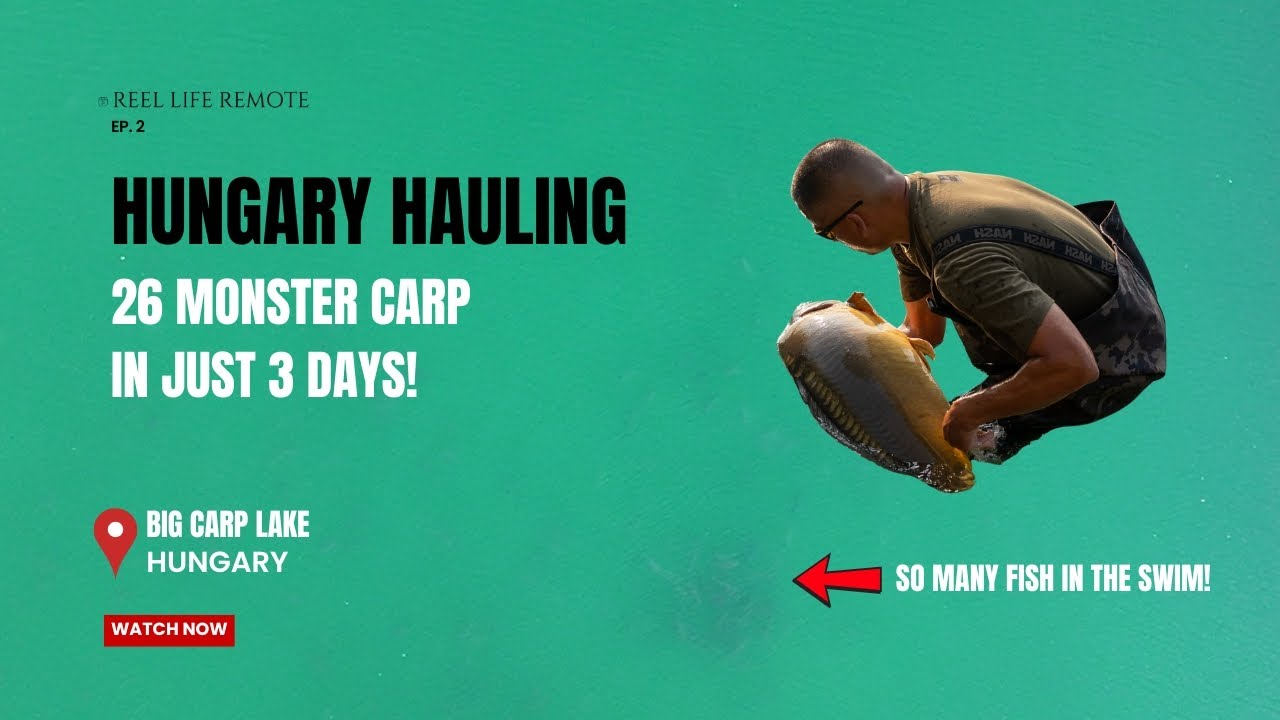 Hungary Hauling: 26 MONSTER Carp in 3 Days at Big Carp Lake!