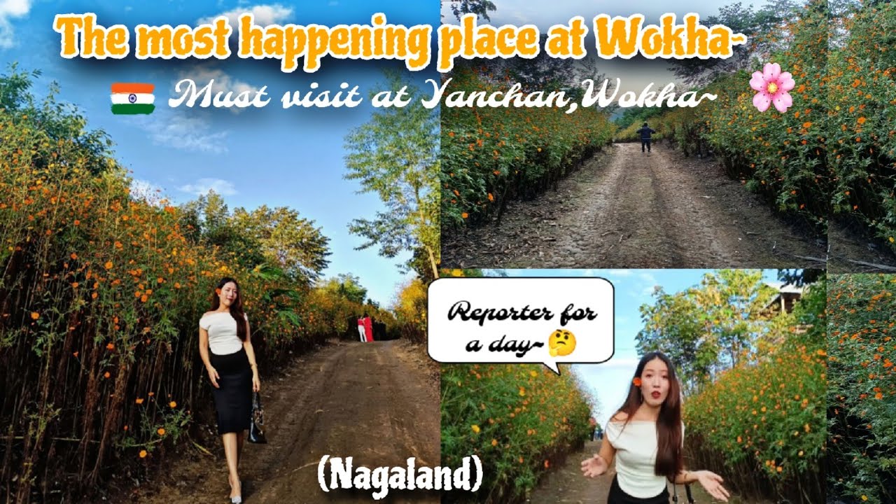 Most happening place at Wokha|| Must visit Yanchan, Wokha||Wokha; Nagaland||Naga girl|Arin Naga