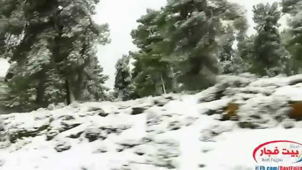 عمار يا بيت فجار ..كاميرا ستوديو أجيال ديجيتال  خلال العاصفه 