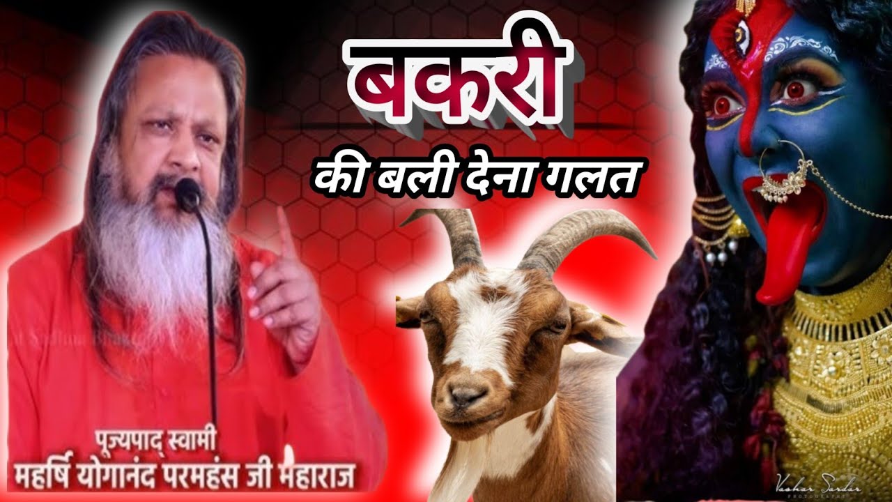 काली मां को बकरी का चढ़ावा असली पूजा नहीं है।महर्षि योग आनंद जी महाराज