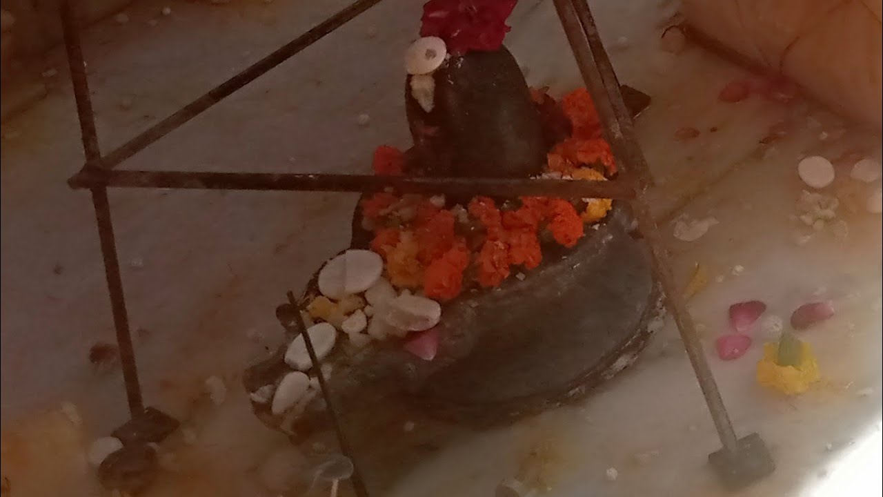 प्रेमलता भक्ति लाइव में आपका स्वागत है