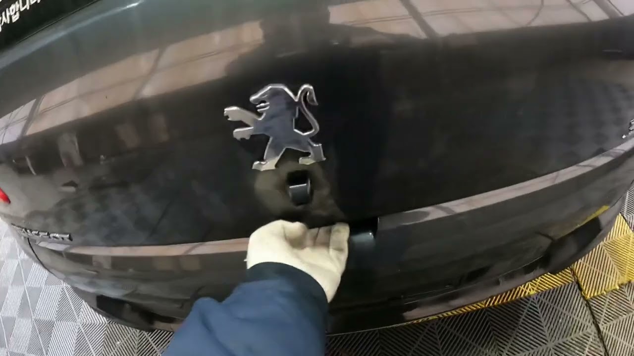 000878 peugeot 3008