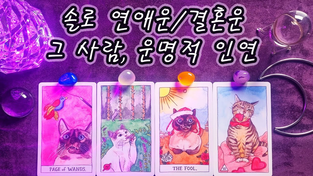[타로] 당신에게 찾아올 운명적 단 한사람!💘솔로 연애운/결혼운