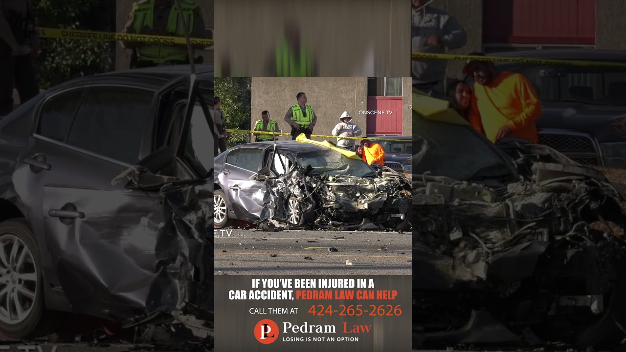 2 People and 2 Dogs Killed in High-Speed Head-On Crash