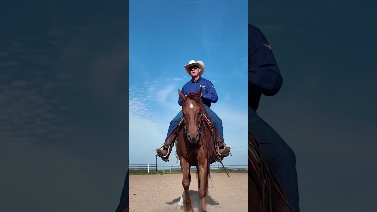Van Hargis #horse #circley #cowboys