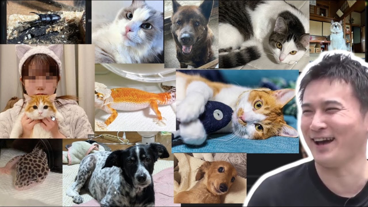 視聴者が飼ってるペットを見る枠【2024/12/21】