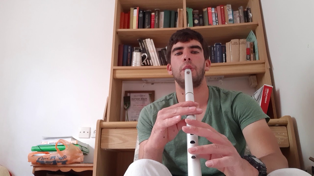 Only our rivers run free - Low Irish tin whistle