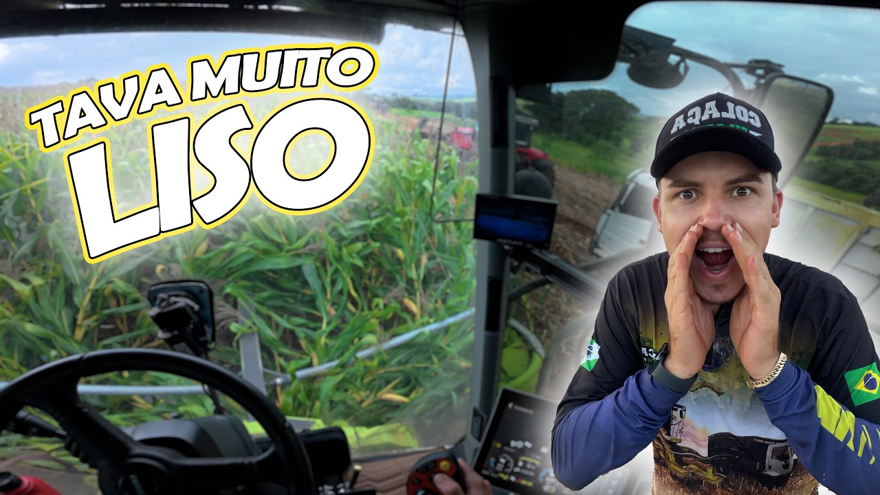 SOFRENDO PRA FAZER SILAGEM EM MINAS GERAIS