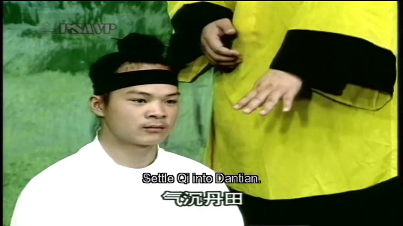Wudang Internal Elixir - Instruction Video from Grandmaster You Xuan De