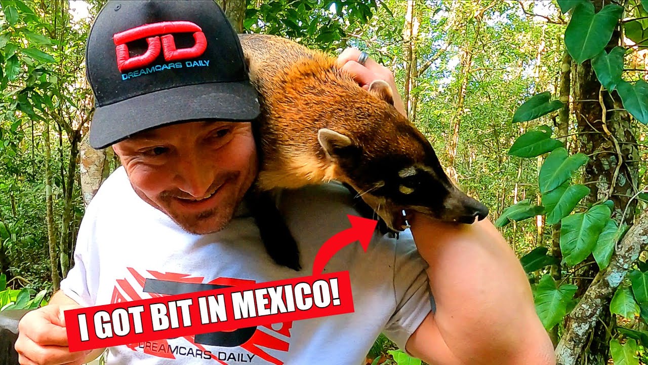 I traveled to Mexico and vlogged the entire vacation