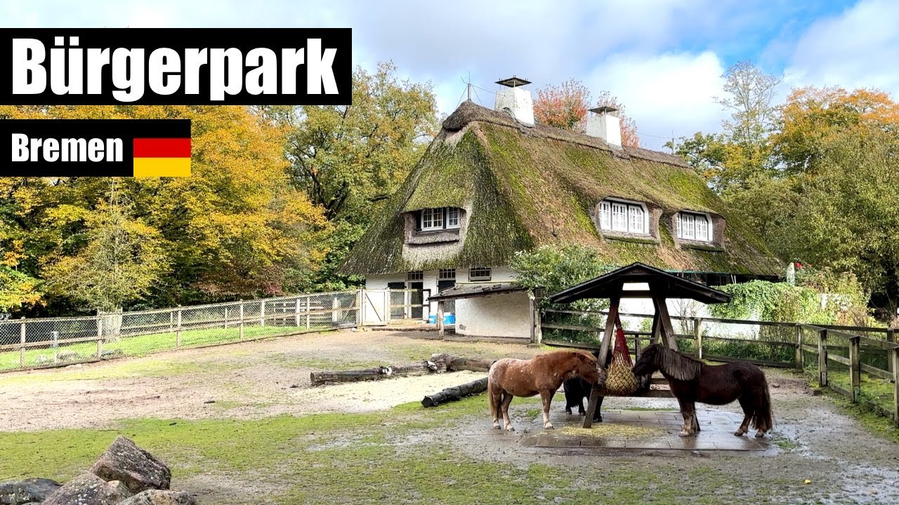 Walking tour of the B&uuml;rgerpark in Bremen, Germany | Wildlife and WW2 bunkers