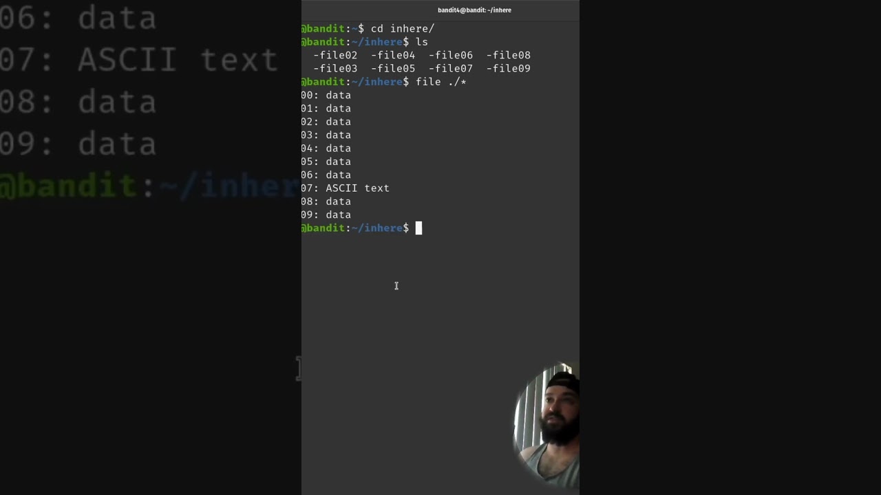 OverTheWire #hack #cybersecurity #linux #tutorial
