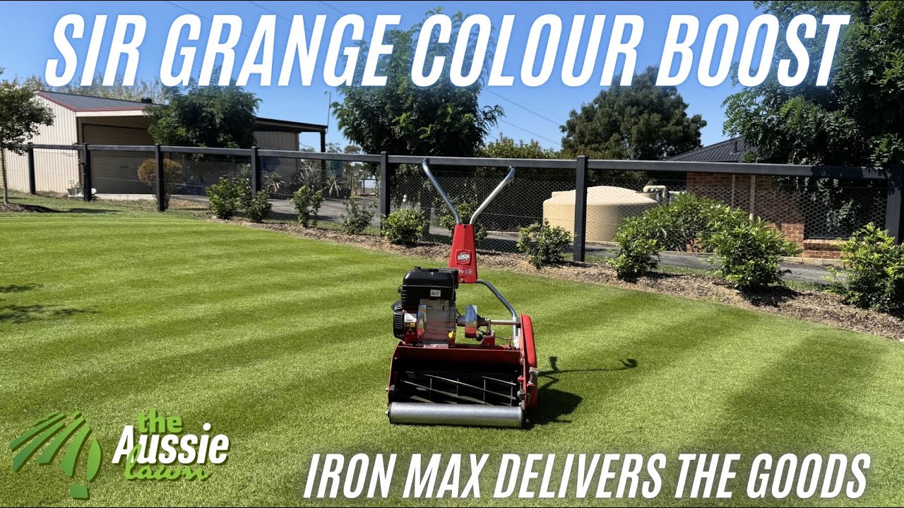 Sir Grange Zoysia Season Check | Mow, Edge & Iron Max Results