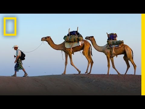 Around the World in Seven Years: Paul Salopek | National Geographic