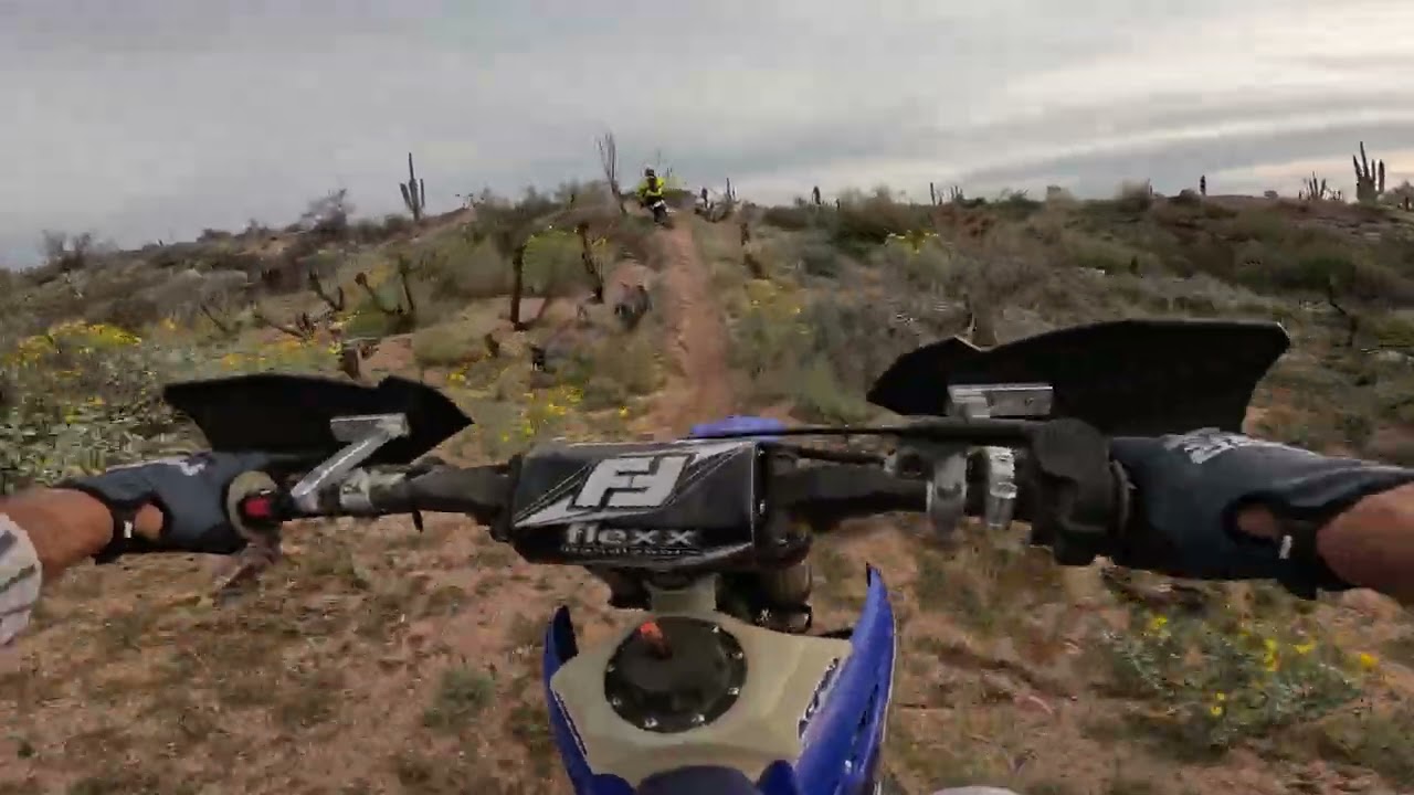 YZ250 ride Wildcat Wednesday single track