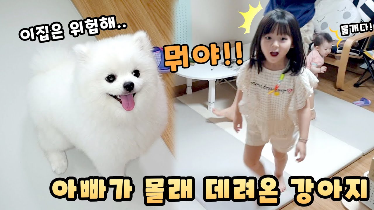 아빠가 몰래 강아지를 데려 왔을 때 반응은?