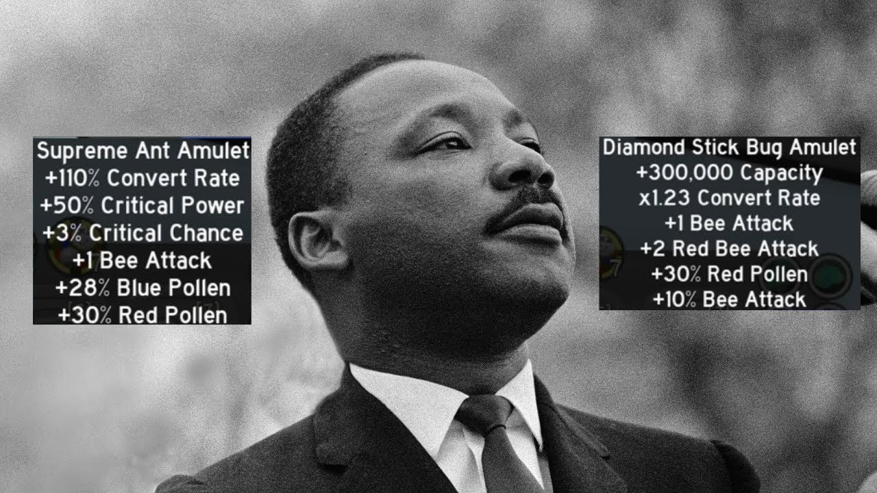 I HAVE a DREAM