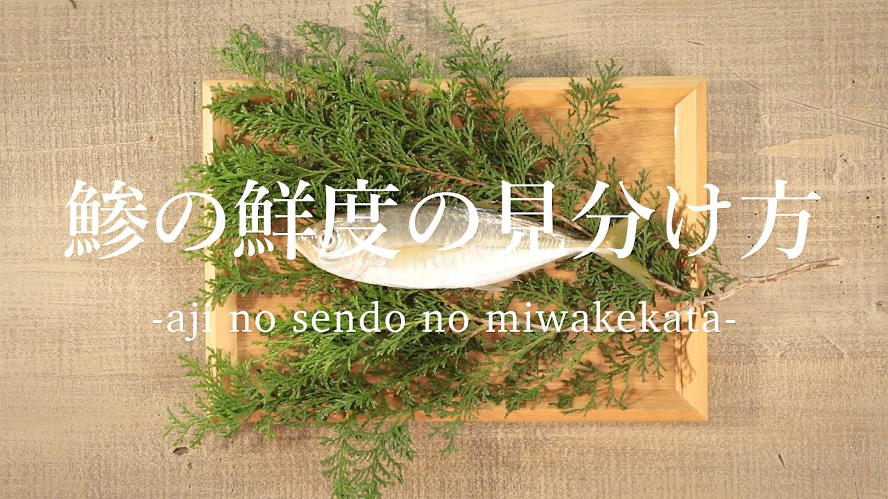 鯵（あじ）の鮮度の見分け方 - How to distinguish freshness of Horse Mackerel -｜日本さばけるプロジェクト（海と日本プロジェクト）