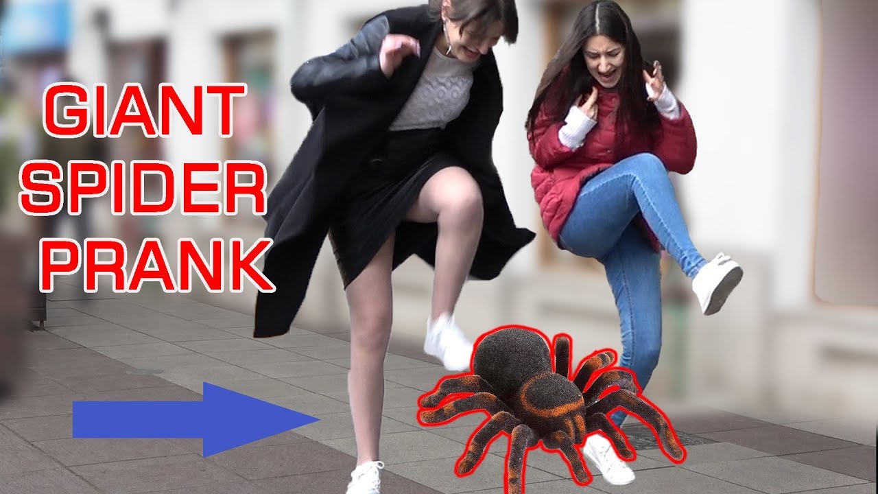 GIANT SPIDER SCARE PRANK - Crazy Spider Prank - AWESOME REACTIONS