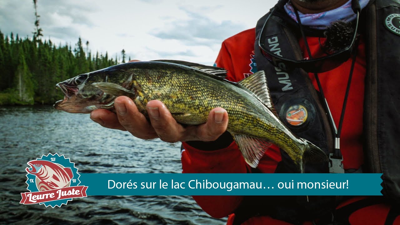 Leurre Juste S06e09 - Dorés sur le lac Chibougamau… oui monsieur!