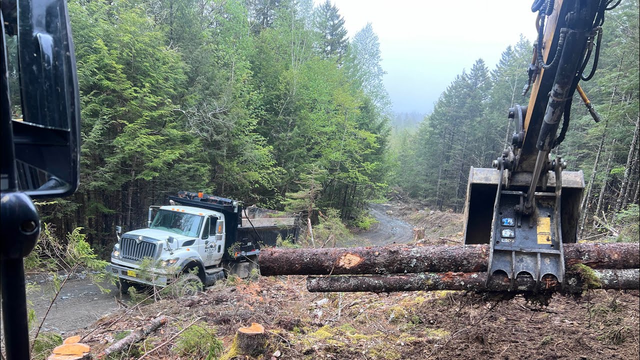 BACK AT THE COTTAGE POWER LINE CLEARING & HAULING LOGS IN THE INTERNATIONAL