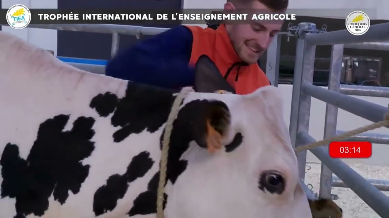La Ville Davy : TIEA 2023 - épreuve de manipulation