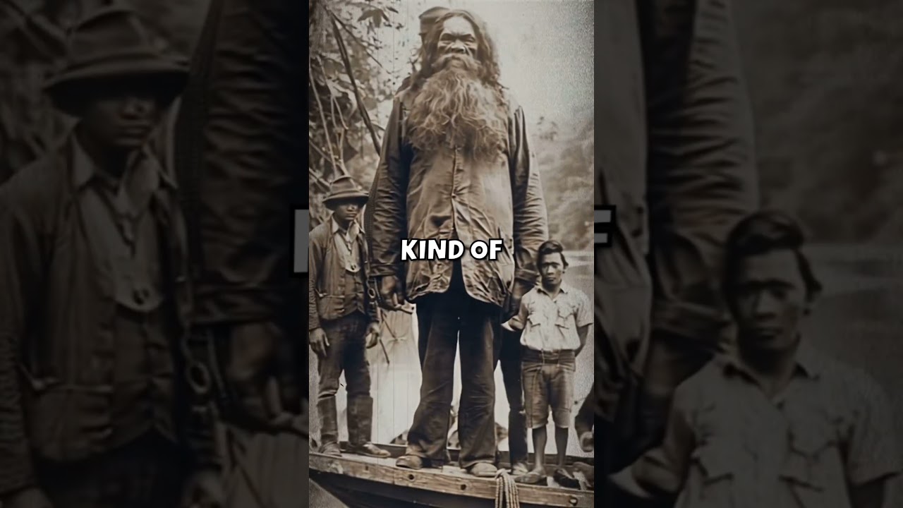 are they Giants or overgrown humans?? #giants #viralvideo