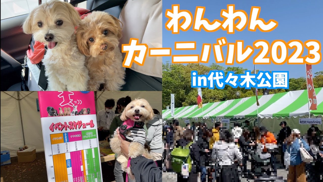 【わんわんカーニバル2023】都心最大級ドッグイベントに参加したら愛犬が賢いことが発覚しましたw