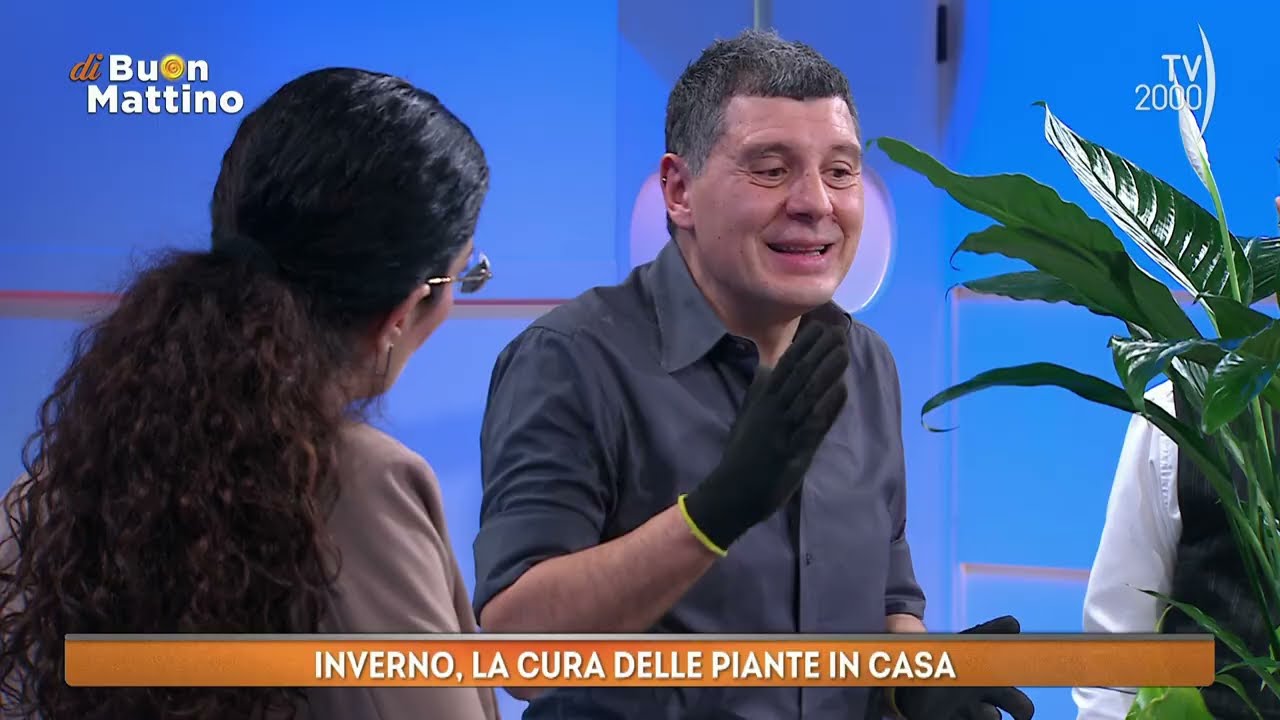 Di Buon Mattino (TV2000) - Come curare le piante d'interno durante l'inverno