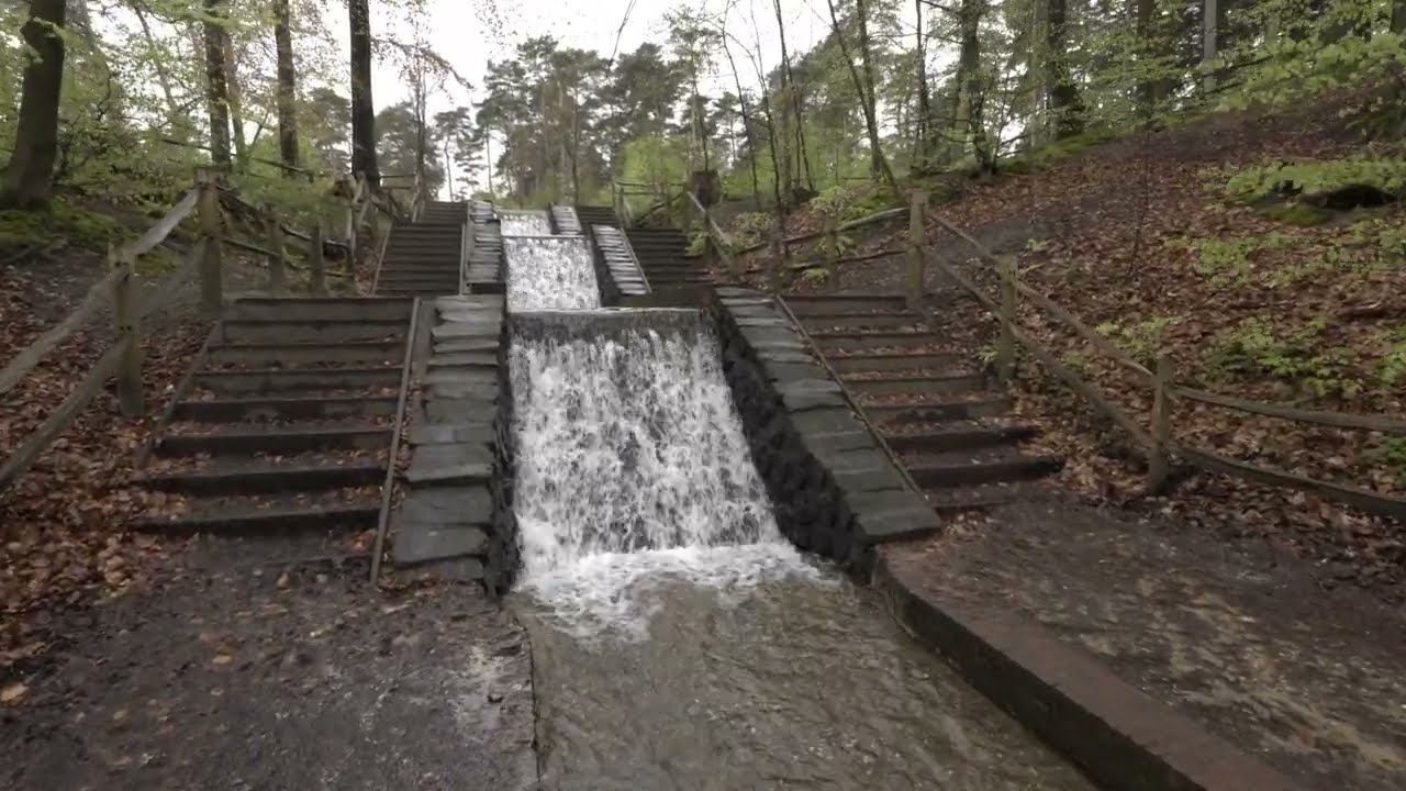 Walkthrough on a Rainy day  along a small waterfall near to VeluweZoom nature park