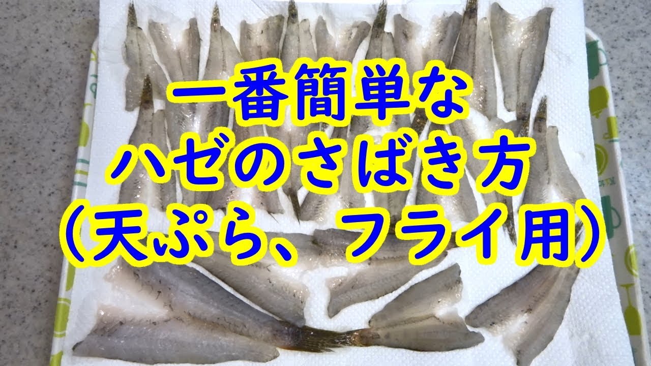 ハゼの一番簡単なさばき方（天ぷら、フライ用）【背開き】