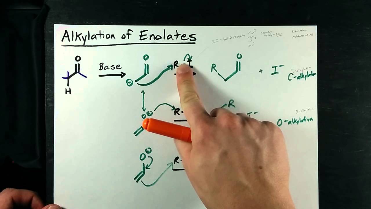 Alkylation of Enolates - Ketone + Alkyl Halide