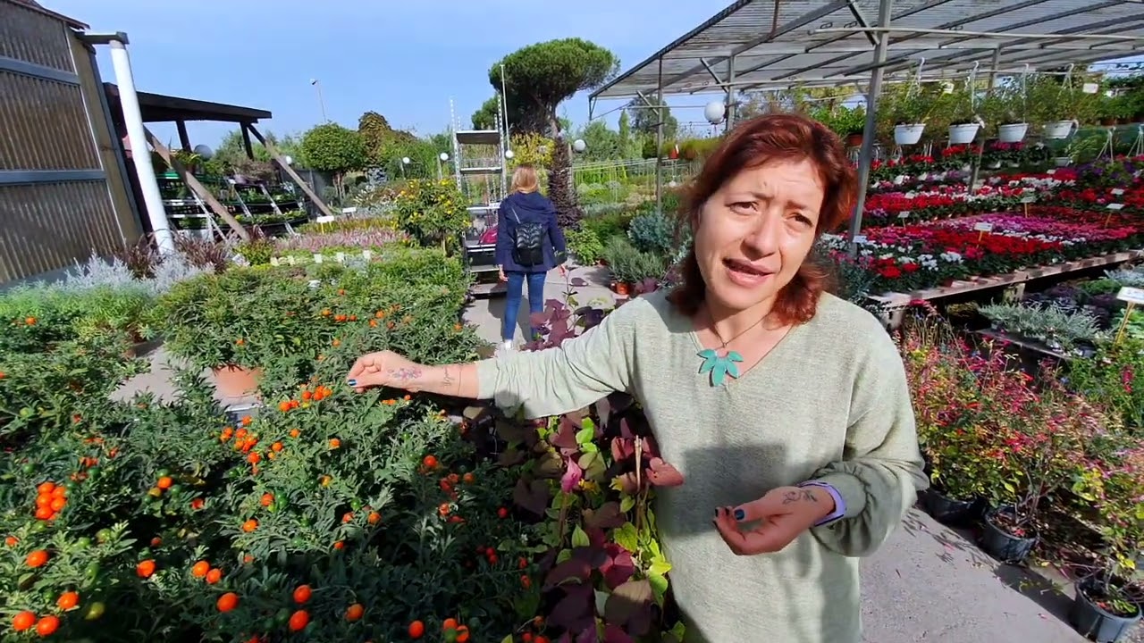 Allegria sul balcone di casa con il SOLANUM PSEUDOCAPSICUM